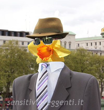 il narcisista